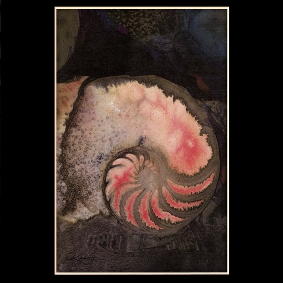 Nautilus Shell Art print from original painting - Picture 3 of 3